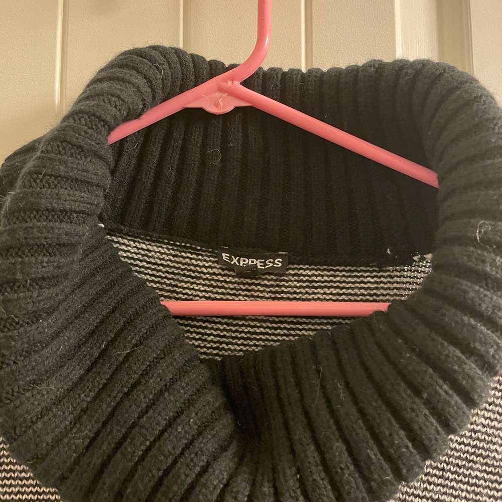 Express Turtleneck - Picture 3 of 5